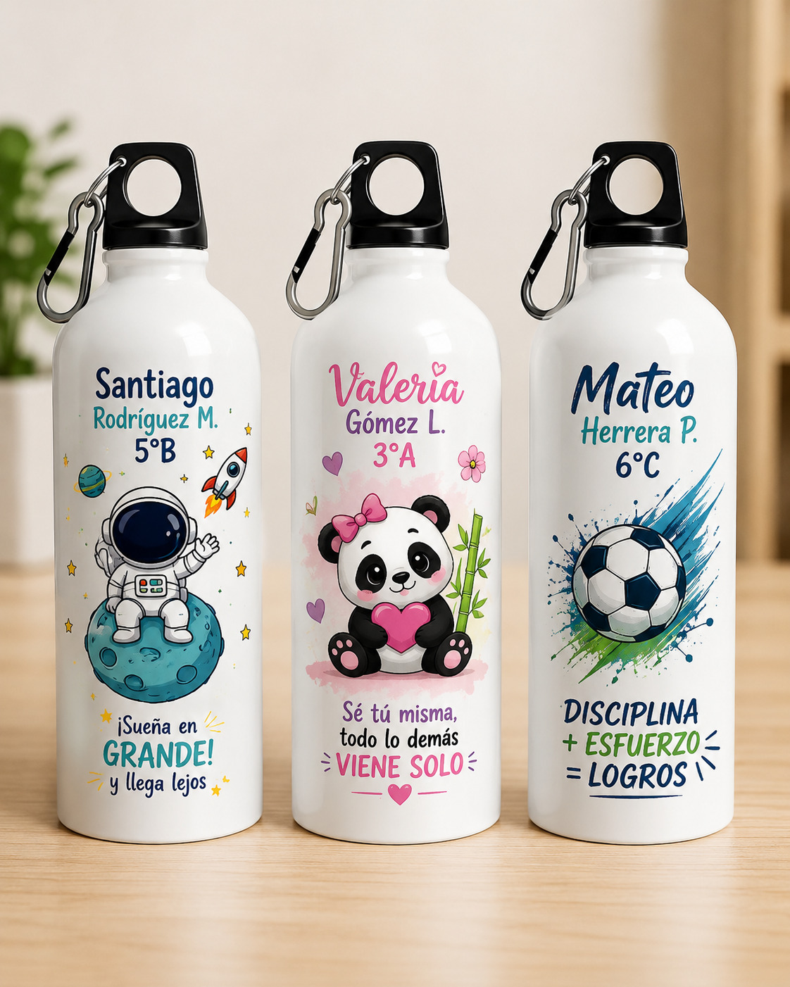 Producto 5